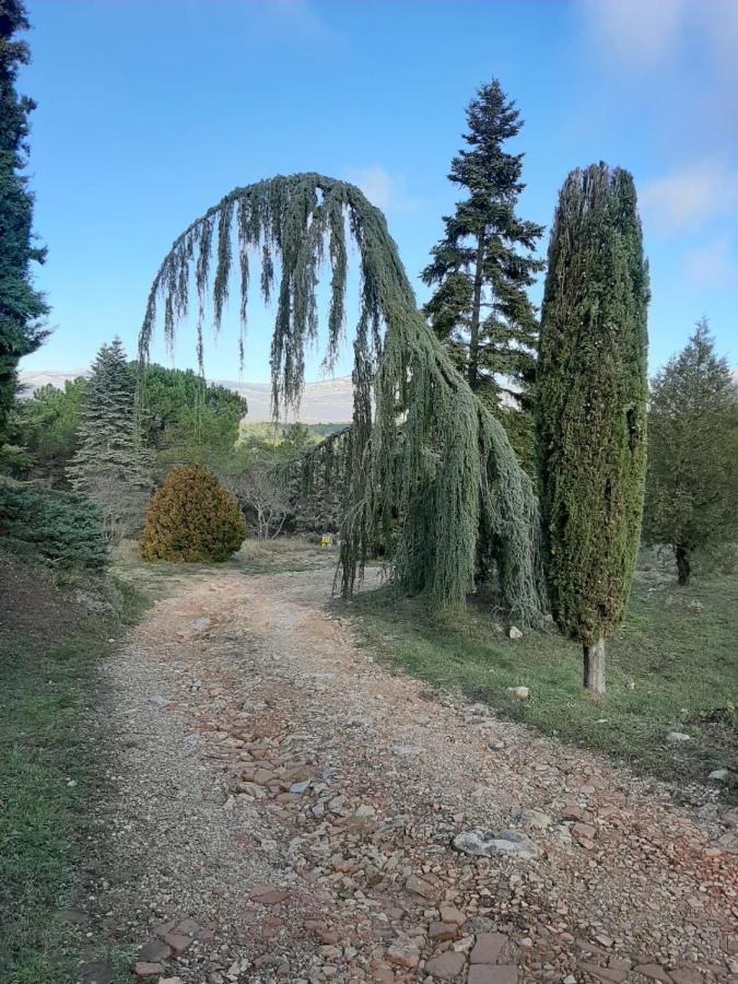 Domaine De La Xavoliere Otel Saint-Cézaire-sur-Siagne Dış mekan fotoğraf