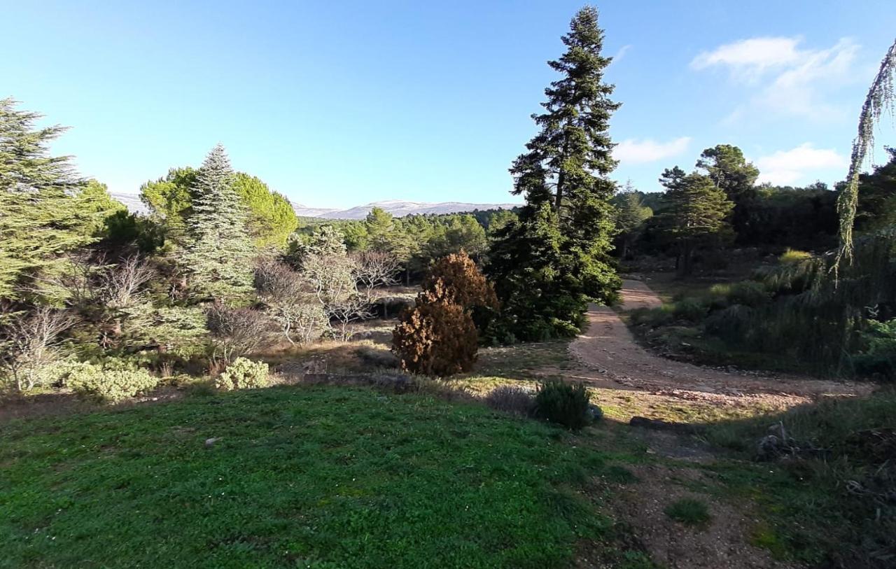 Domaine De La Xavoliere Otel Saint-Cézaire-sur-Siagne Dış mekan fotoğraf